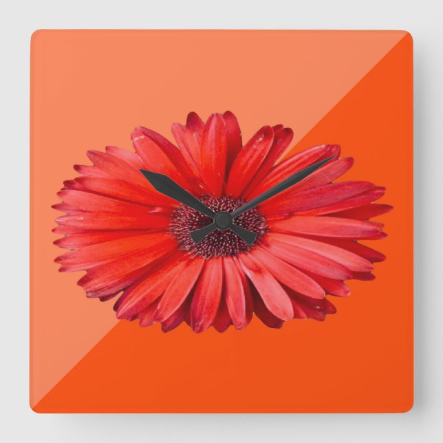 Reloj Cuadrado Botánica de margarita naranja moderna (Anverso)