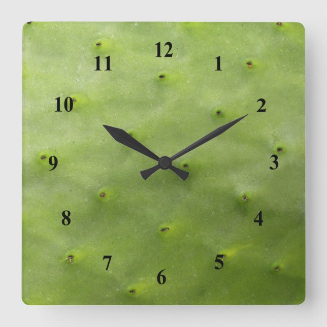 Reloj Cuadrado Botanical Tropical Green Cactus Photo (Anverso)