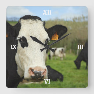 Reloj Cuadrado Bovinos de Holstein