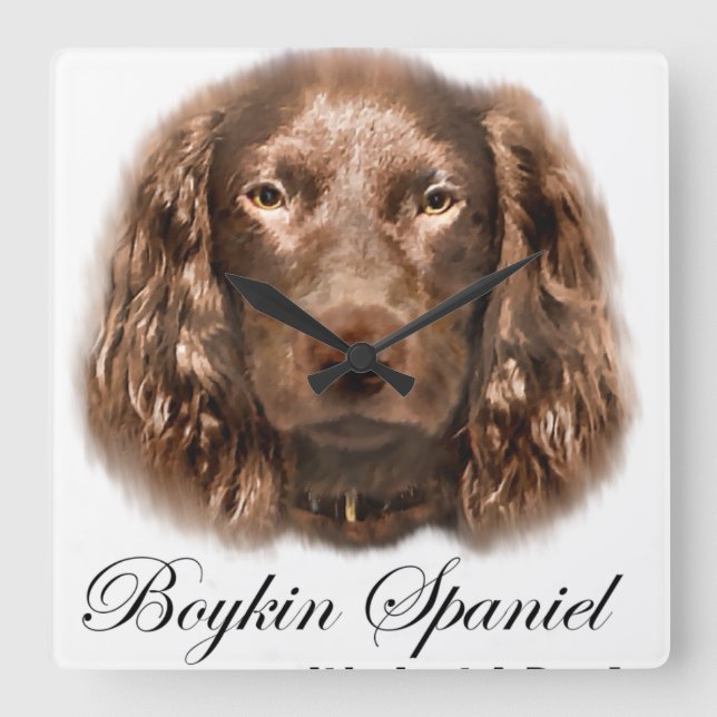 Reloj Cuadrado Boykin Spaniel Gifts (Anverso)