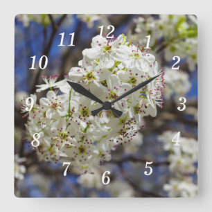 Reloj Cuadrado Bradford Pear Blooms Wall Clock