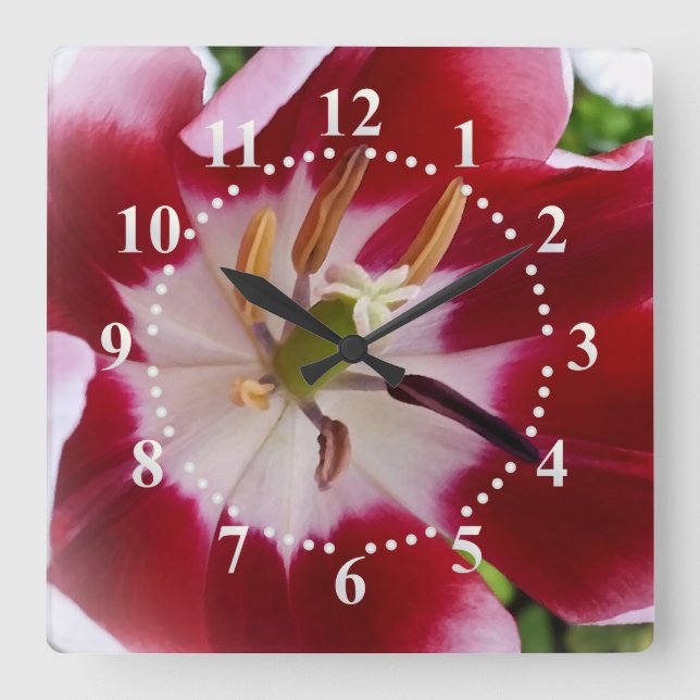 Reloj Cuadrado bright red tulip (Anverso)