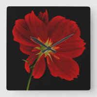 Brillando en la oscuridad/Fotografía de la Gerbera