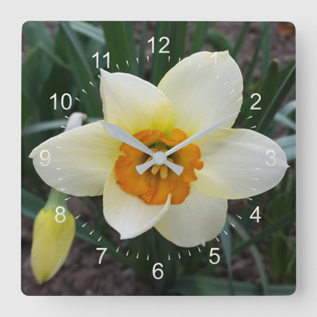 Reloj Cuadrado brillo de daffodil blanco (Anverso)