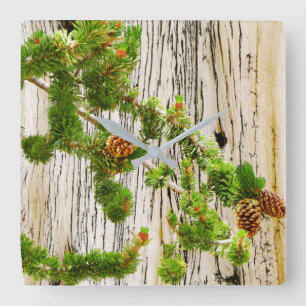 Reloj Cuadrado Bristlecone Pine