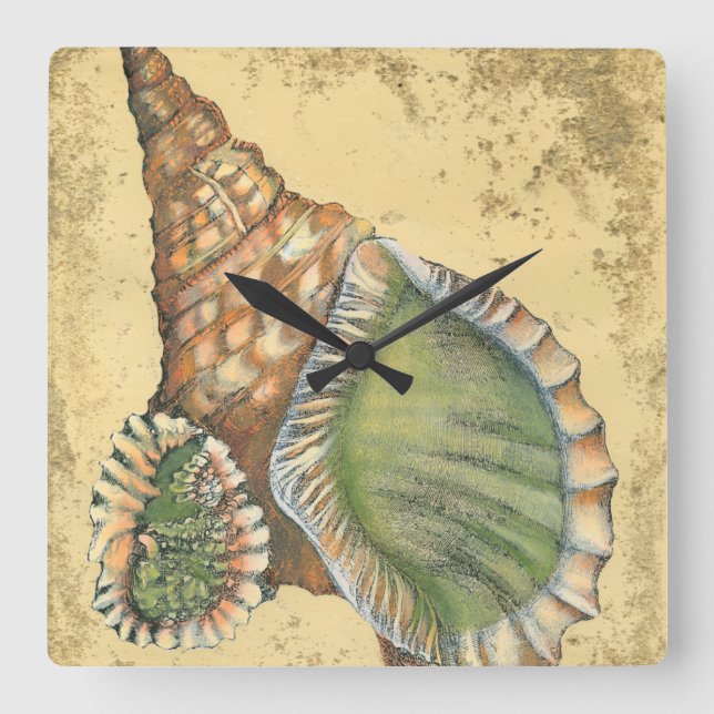 Reloj Cuadrado Brown and Green Seashell (Anverso)
