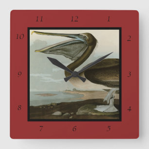 Reloj Cuadrado Brown Pelican de los pájaros de América de Audubon