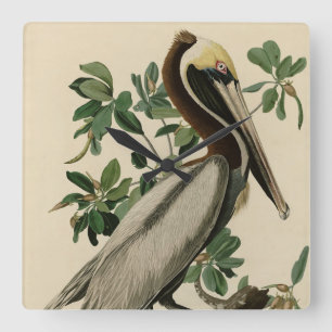 Reloj Cuadrado Brown Pelican from Audubon's Birds of America