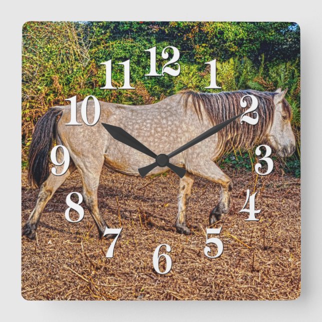 Reloj Cuadrado Buckskin New Forest Pony Wildlife (Anverso)
