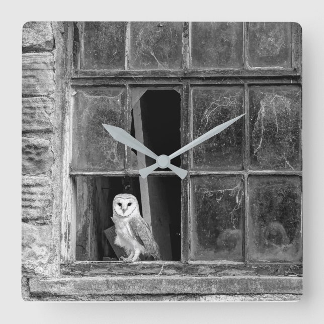 Reloj Cuadrado búho de Barn (Anverso)