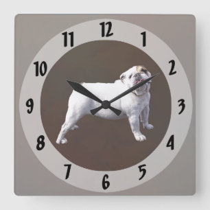 Reloj Cuadrado Bulldog De Pie