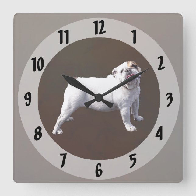 Reloj Cuadrado Bulldog De Pie (Anverso)