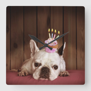 Reloj Cuadrado Bulldog Francés Con Pastel De Cumpleaños