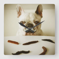Bulldog Francés Con Un Mustache