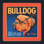 Reloj Cuadrado Bulldog sobre un fondo azul<br><div class="desc">Impresión de una etiqueta vintage de la caja que ilustra un bulldog con un fondo con estampado azul y un borde naranja. Elija esta impresión de arte en su producto Zazzle hoy.</div>