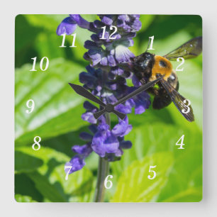 Reloj Cuadrado Bumblebee en Salvia Wall Clock