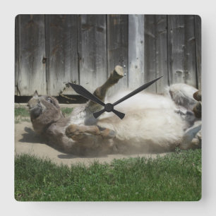 Reloj Cuadrado Burro de baño de arena