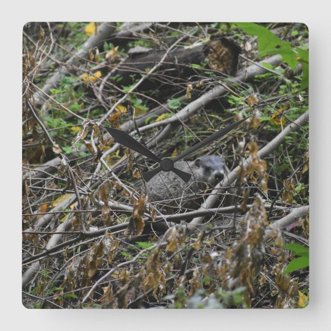 Reloj Cuadrado Busy Beaver (Anverso)