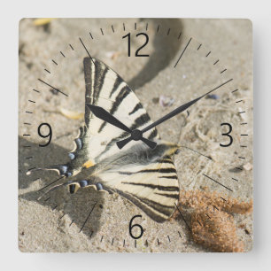 Reloj Cuadrado Butterfly