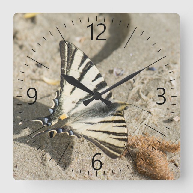 Reloj Cuadrado Butterfly (Anverso)