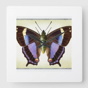 Reloj Cuadrado Butterfly dorsal view watercolor and ink 300724IRE