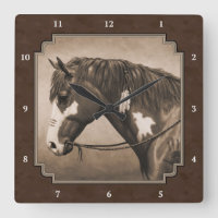 Caballo de guerra de Pinto nativo americano en Sep