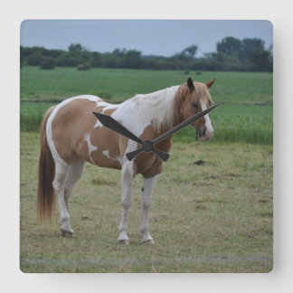 Reloj Cuadrado Caballo de la pintura de Tobiano