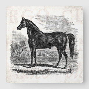 Reloj Cuadrado Caballo de los 1800s del vintage - plantilla del
