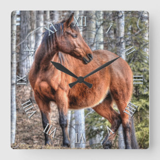 Reloj Cuadrado Caballo de Rancho Stallion parado en un bosque