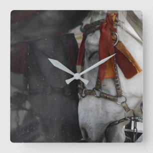 Reloj Cuadrado Caballo de transporte