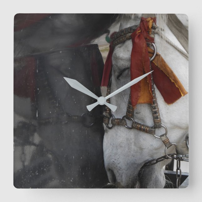 Reloj Cuadrado Caballo de transporte (Anverso)