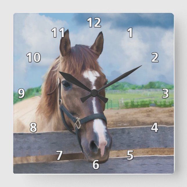 Reloj Cuadrado Caballo marrón con halter (Anverso)