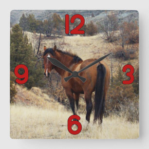Reloj Cuadrado Caballo salvaje en la colina