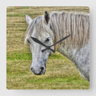 Reloj Cuadrado Caballo salvaje Pony de la Selva Blanca