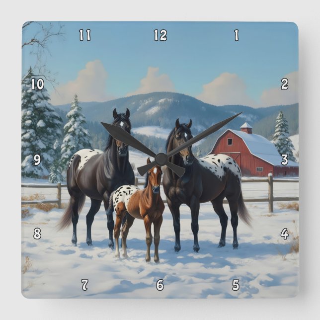 Reloj Cuadrado Caballos Appaloosa negros en una granja en inviern (Anverso)
