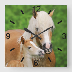Reloj Cuadrado Caballos Haflinger Mamá de besos de tiburón/plat
