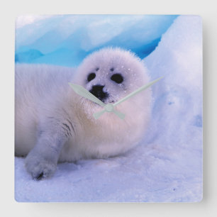 Reloj Cuadrado Cachorro de foca arpista pequeño cubierto de copos