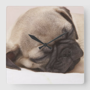 Reloj Cuadrado Cachorro Souneping