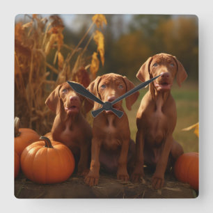 Reloj Cuadrado Cachorro Vizsla Delicia de Otoño Calabaza