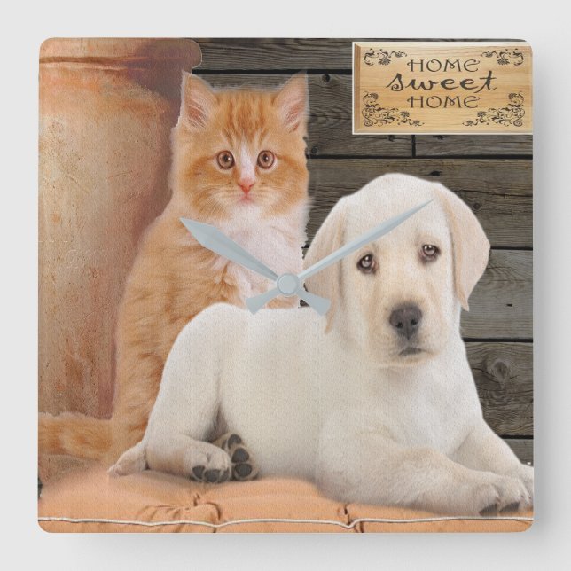 Reloj Cuadrado   cachorro y gatito (Anverso)