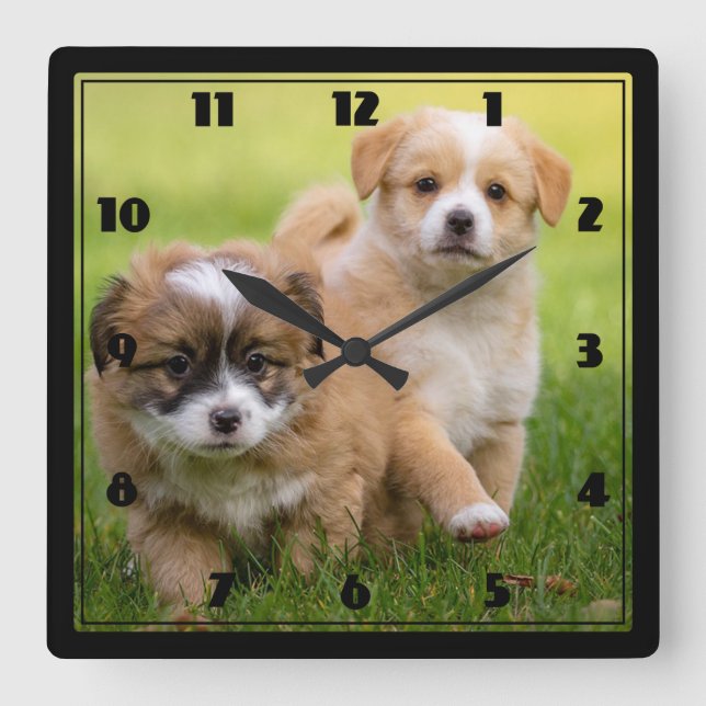Reloj Cuadrado Cachorros (Anverso)