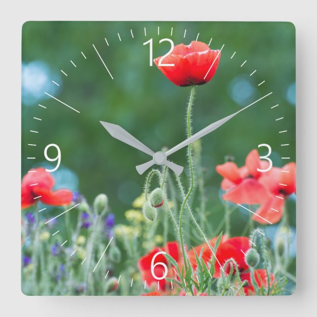 Reloj Cuadrado Cachorros salvajes (Anverso)
