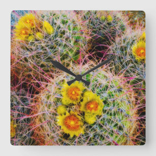 Reloj Cuadrado Cactus de barril en primer plano, California