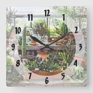 Reloj Cuadrado Cactus en Greenhouse