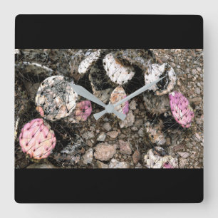 Reloj Cuadrado Cactus rosado muerto