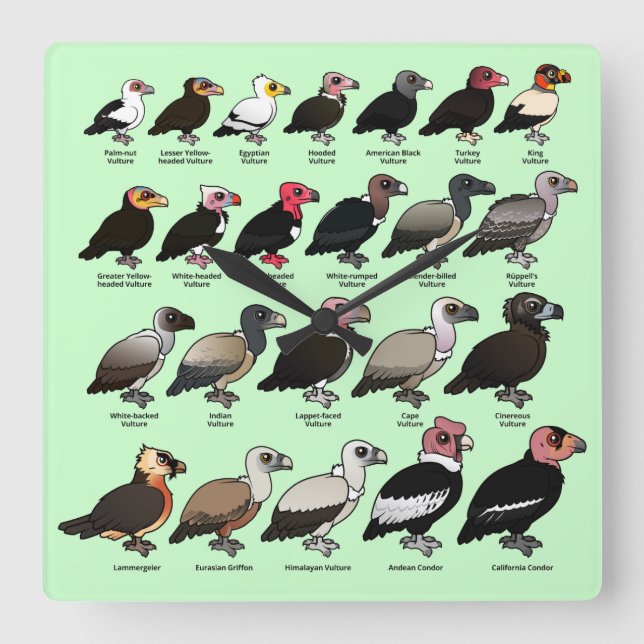 Reloj Cuadrado Cada buitre (Anverso)