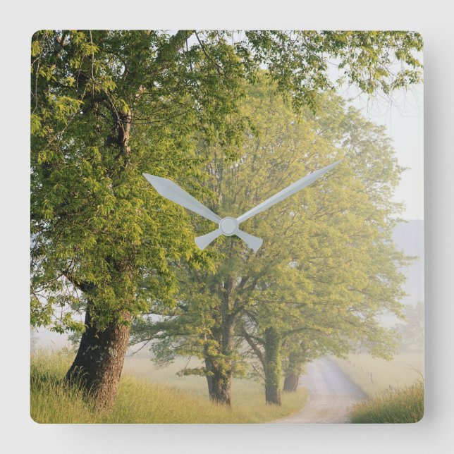 Reloj Cuadrado Cades Cove| Grandes montañas Smokey, TN (Anverso)