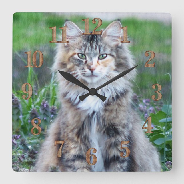 Reloj Cuadrado Calico Cat (Anverso)