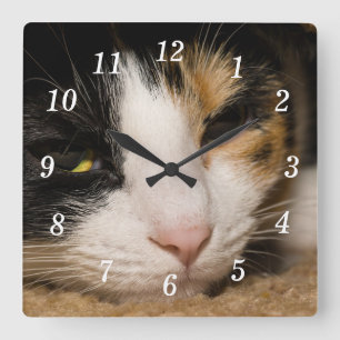 Reloj Cuadrado Calico Face Wall Clock