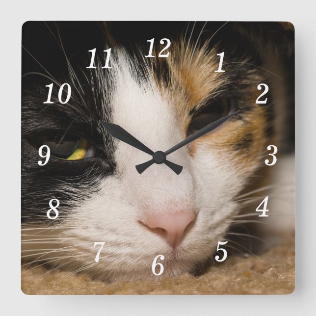 Reloj Cuadrado Calico Face Wall Clock (Anverso)